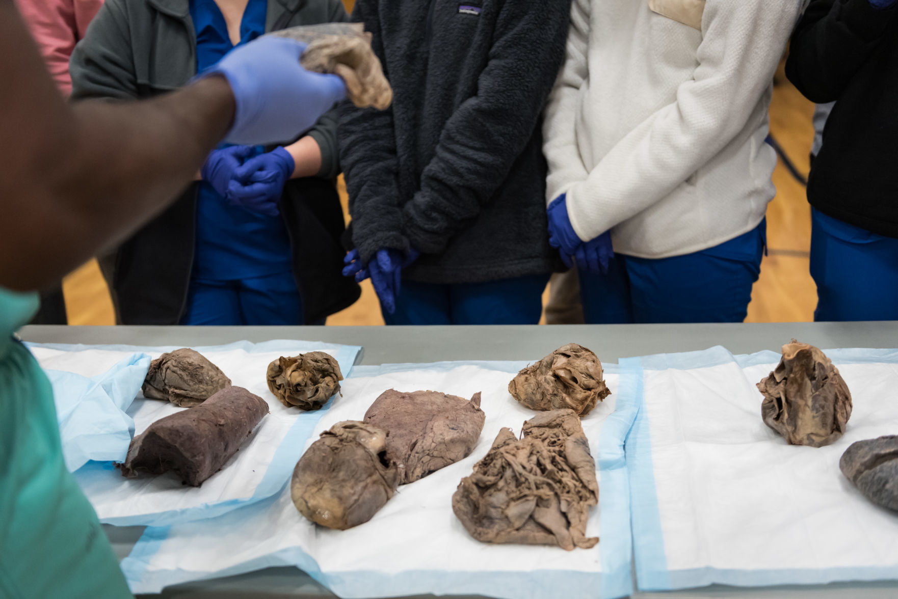 Wake Forest School of Medicine Rolling Bones